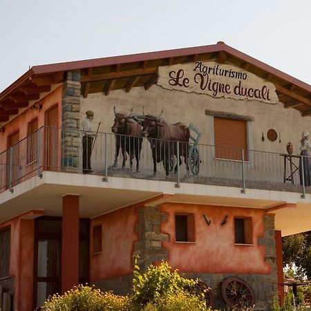 Agriturismo Le Vigne Ducali Màndas Exterior foto